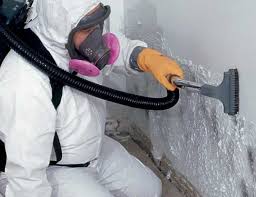 Best Mold Odor Removal Services  in The Dalles, OR